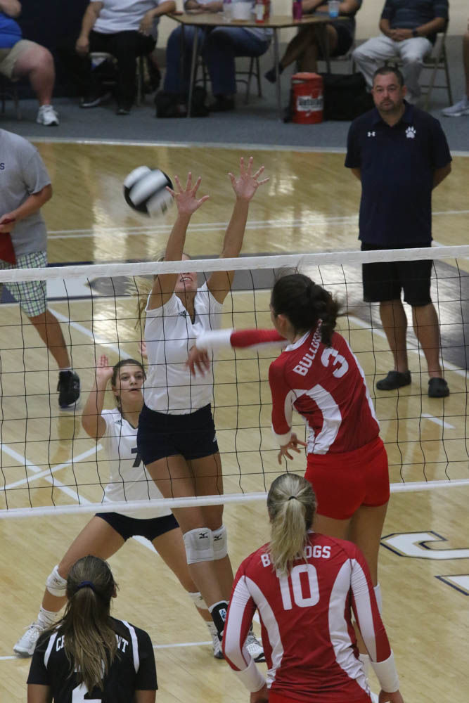 Gallery: Girls volleyball - Crown Point at Michigan City
